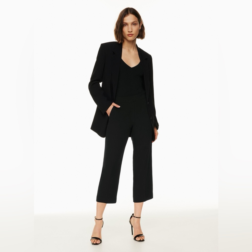 Aritzia Babaton Conan Wide Cropped Pant